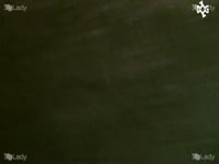 Sexy beastie gal babe gets banged by a dog